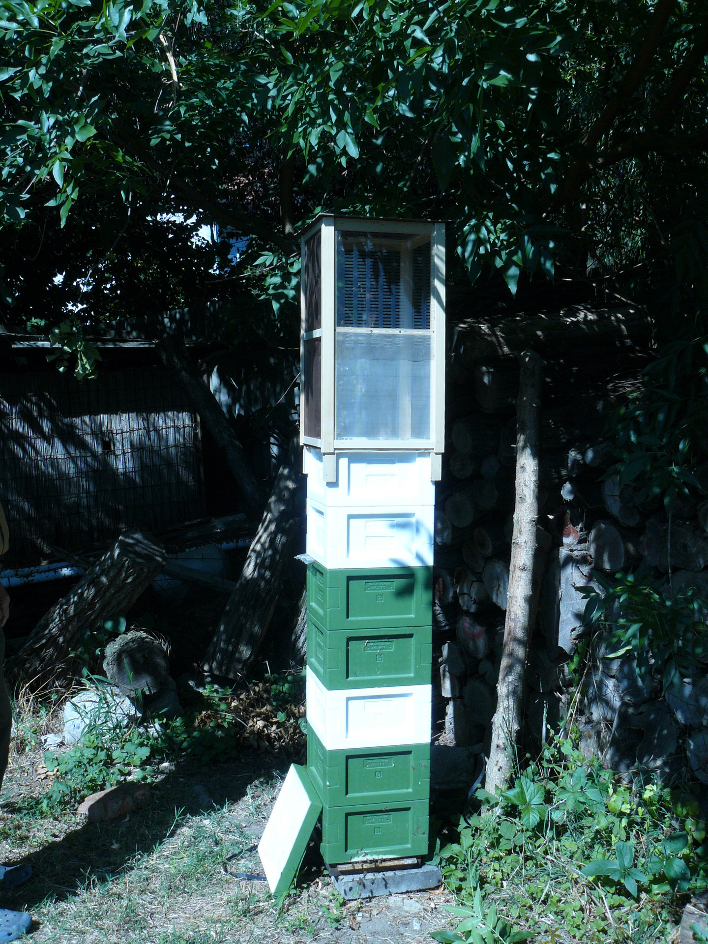 Prepare to the artificial insemination, flying cage on the MiniPlus bee hive