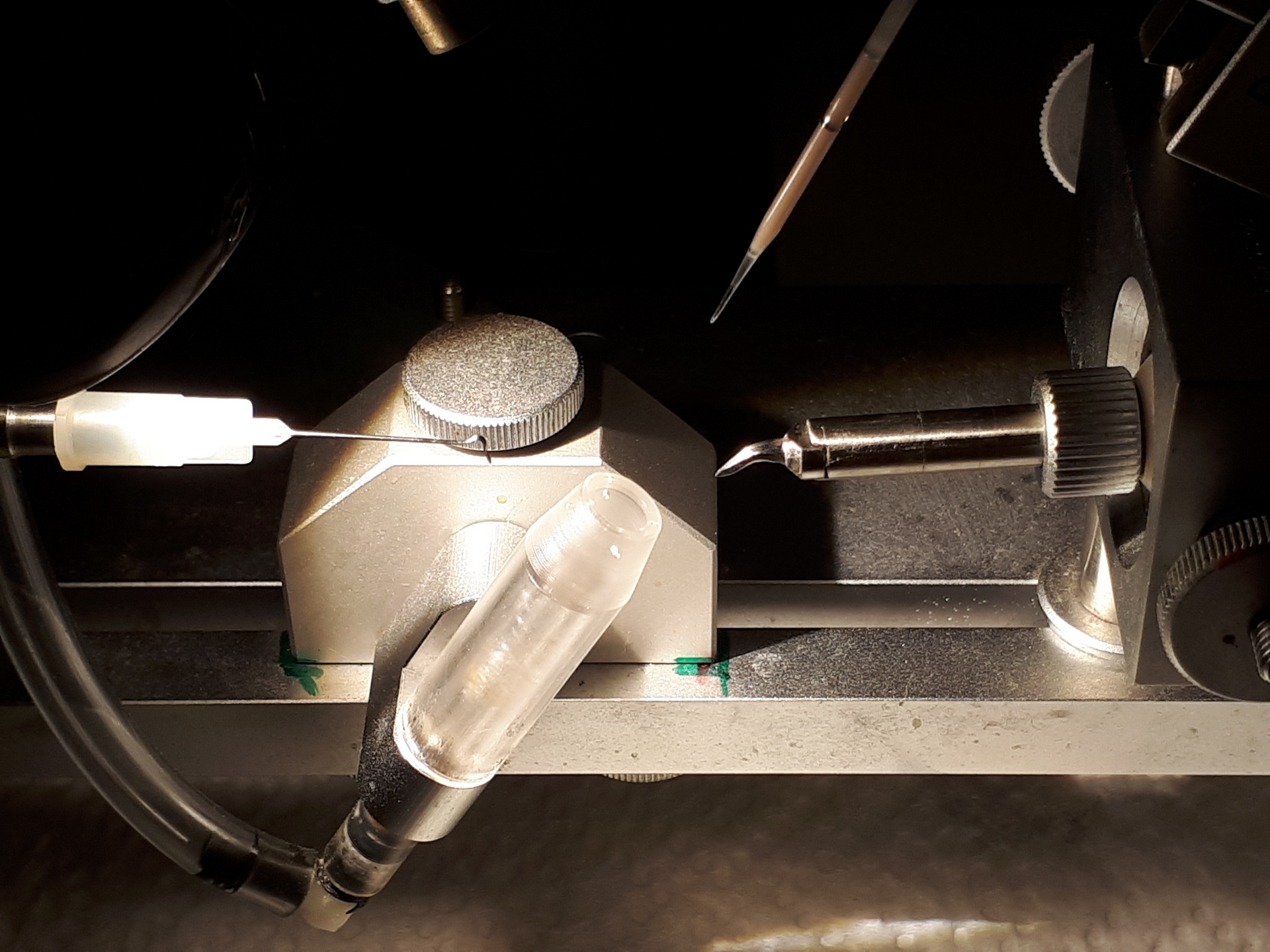 Artificially inseminated instrument