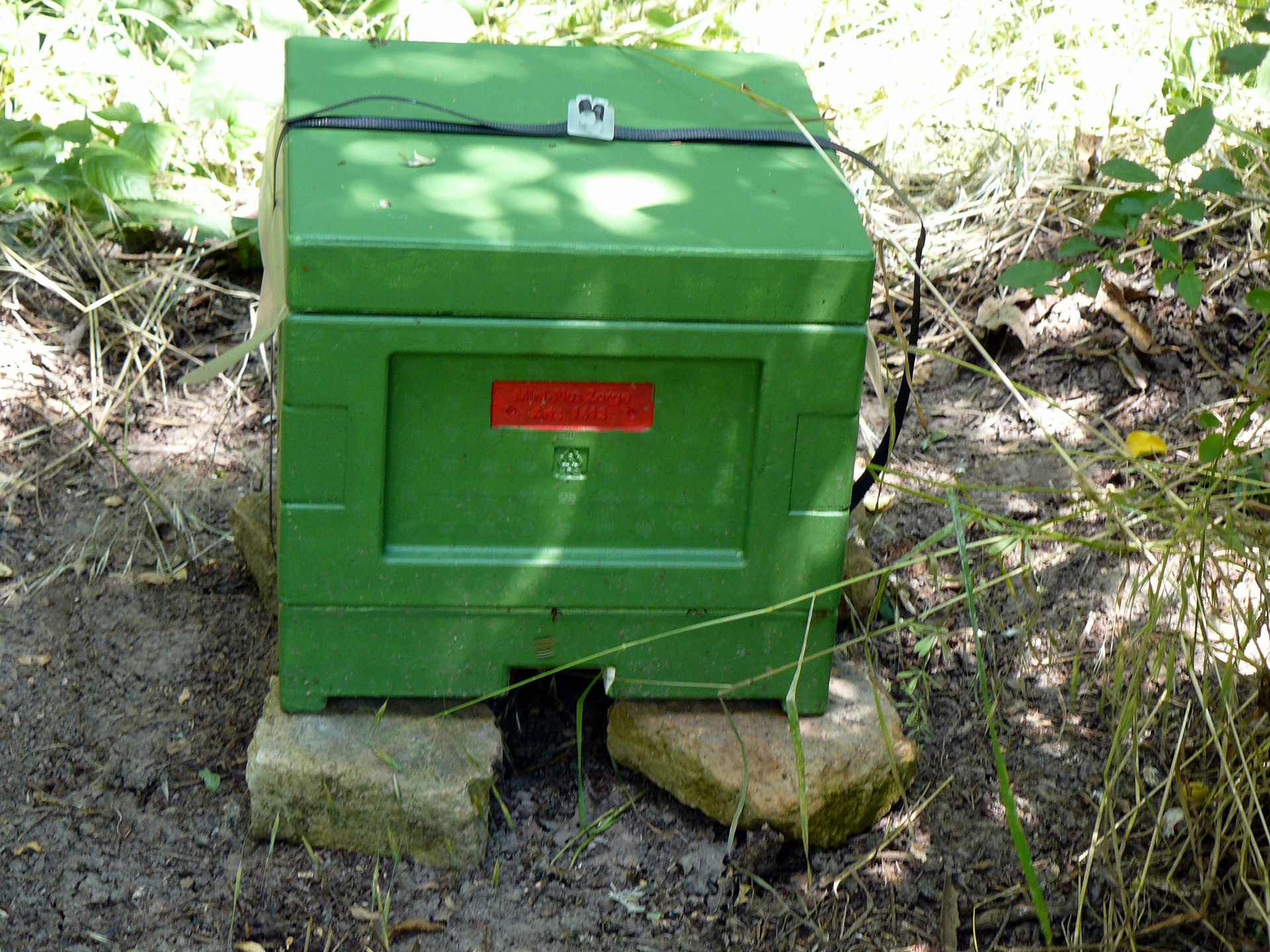 Mini Plus bee hive