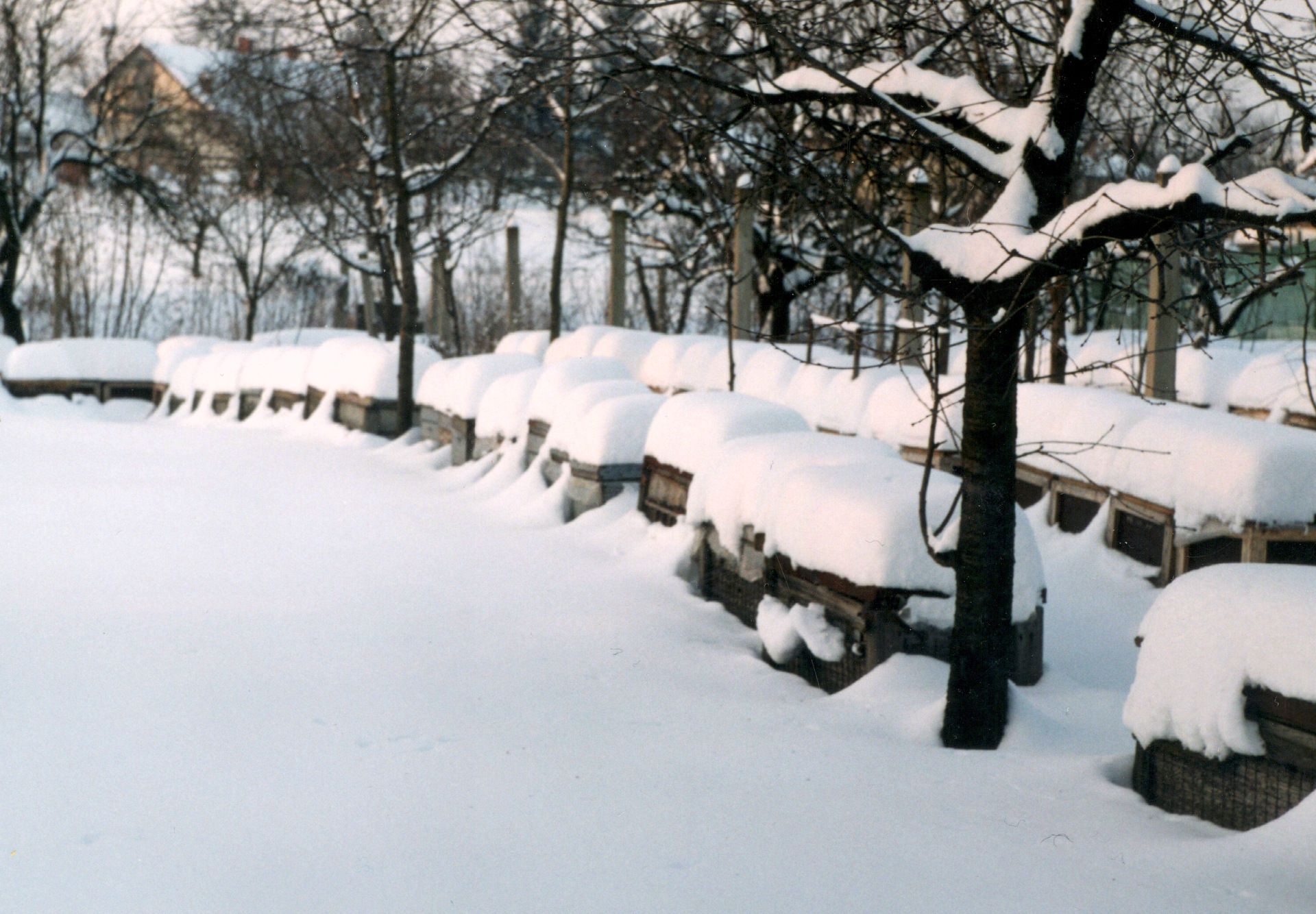 Beekeeper station in winter